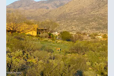 0 E Calle Rosa Linda #4, Saddlebrooke, AZ 85739 - Photo 3