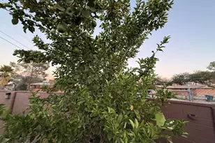 2441 N Jordan Dr, Tucson, AZ 85745 - Photo 13