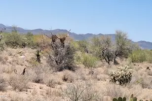 14454 S Ezra Pl, Tucson, AZ 85736 - Photo 5