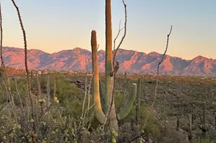 13672 N Old Ranch House Rd, Marana, AZ 85658 - Photo 5