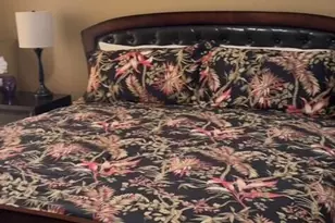 7380 E Maritime Dr, Tucson, AZ 85756 - Photo 11