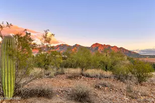 10845 N Summer Moon Pl, Tucson, AZ 85737 - Photo 5