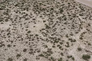 2691 E Sandy Way, Willcox, AZ 85643 - Photo 43