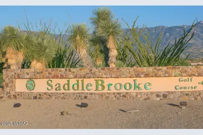 37543 S Mountain Sage Drive, Tucson, AZ 85739 - Photo 49