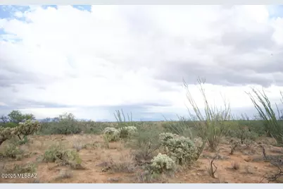 14536 W Diamond Bell Ranch Road #406, Tucson, AZ 85736 - Photo 11
