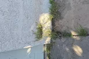 5547 E 29th St, Tucson, AZ 85711 - Photo 3