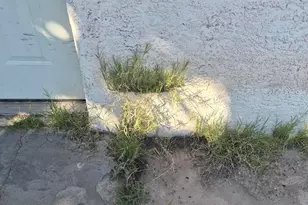 5547 E 29th St, Tucson, AZ 85711 - Photo 3