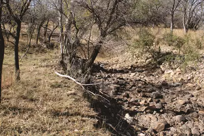 10 Acres E Roadrunner Lane #E, Pearce, AZ 85625 - Photo 1