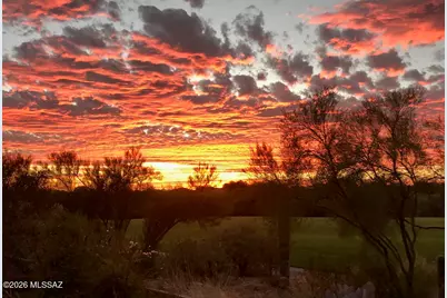 4938 W Desert Chicory Place, Marana, AZ 85658 - Photo 39