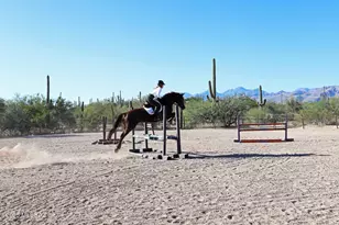 13670 E Camino La Cebadilla, Tucson, AZ 85749 - Photo 41