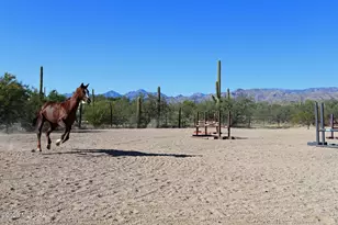13670 E Camino La Cebadilla, Tucson, AZ 85749 - Photo 5