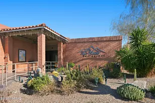 14617 N Desert Rock Dr, Oro Valley, AZ 85755 - Photo 45