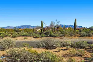 11994 N Renoir Way, Marana, AZ 85742 - Photo 45
