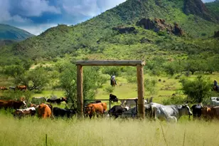 1265 Morning Star Dr, Rio Rico, AZ 85648 - Photo 33