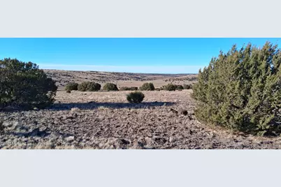 3.02 Acres Unnamed Road #457, Sanders, AZ 86512 - Photo 17