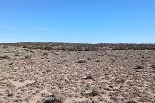 1 06 Acres Blackfoot Trail, Sanders, AZ 86512 - Photo 1