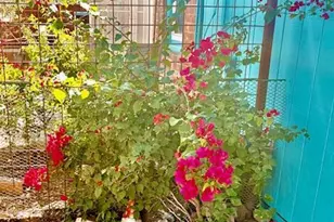 534 N Ash Ave, Tucson, AZ 85705 - Photo 35