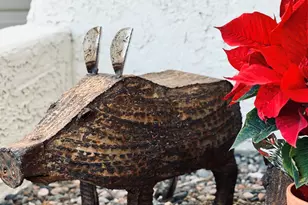 2871 W St Tropaz Ave, Tucson, AZ 85713 - Photo 41