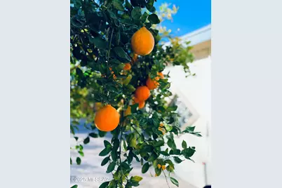 2871 W Saint Tropaz Avenue, Tucson, AZ 85713 - Photo 33