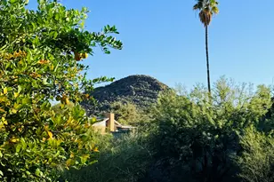 2871 W St Tropaz Ave, Tucson, AZ 85713 - Photo 31