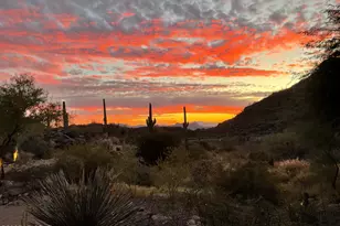13971 N Jims Deadend Pl, Marana, AZ 85658 - Photo 43