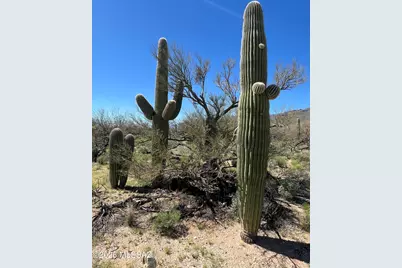 4875 N Windsong Canyon Drive #49, Tucson, AZ 85749 - Photo 19