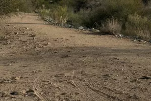 445 S Paseo Quinta, Green Valley, AZ 85614 - Photo 31