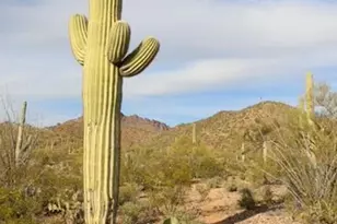 3274 S Feldspar Ave, Tucson, AZ 85735 - Photo 47