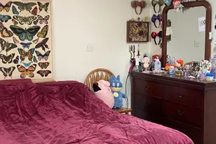 1031 E Irwin Pl, Tucson, AZ 85719 - Photo 29