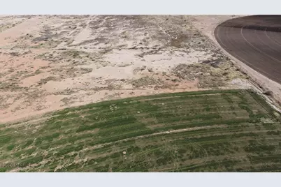 10.0 Acres Thompson Road #E, Elfrida, AZ 85610 - Photo 11