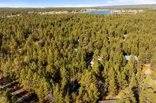 2686 W Rim Rd, Lakeside, AZ 85929 - Photo 27