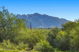 2290 W Catalpa Rd, Tucson, AZ 85742 - Photo 39