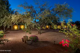 1005 W Emerine Dr, Tucson, AZ 85704 - Photo 35