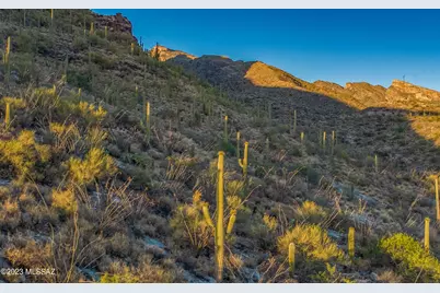 7582 N Camino Sin Vacas #65, Tucson, AZ 85718 - Photo 17