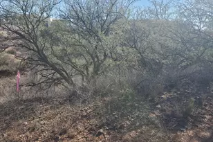 909 Paseo Los Mochis, Rio Rico, AZ 85648 - Photo 1