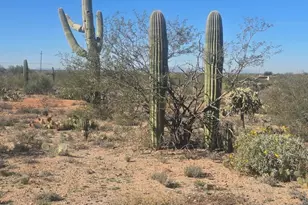 14410 E Old Owl Crk Ct, Vail, AZ 85641 - Photo 1