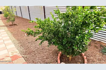 5841 S Herpa Drive, Tucson, AZ 85706 - Photo 7