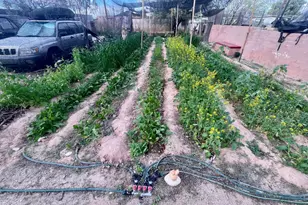 118 W 32nd St, Tucson, AZ 85713 - Photo 15