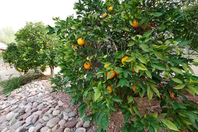 455 W Valoro Drive, Tucson, AZ 85737 - Photo 31