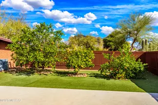 8711 N Aspen Ave, Tucson, AZ 85704 - Photo 43