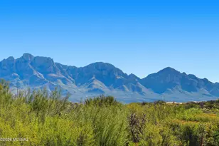 13974 N Green Tree Dr, Oro Valley, AZ 85755 - Photo 25