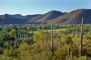 13136 N Desert Flora Ln, Marana, AZ 85658 - Photo 37