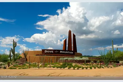 13136 N Desert Flora Lane, Marana, AZ 85658 - Photo 33