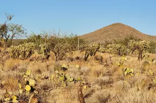 15035 S Muldoon Ave, Tucson, AZ 85736 - Photo 17