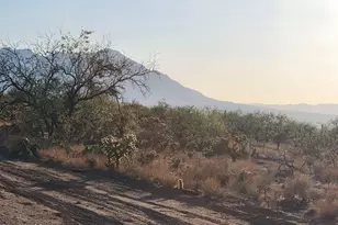 15035 S Muldoon Ave, Tucson, AZ 85736 - Photo 3