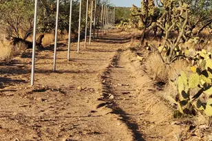 15035 S Muldoon Ave, Tucson, AZ 85736 - Photo 7