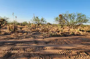 15035 S Muldoon Ave, Tucson, AZ 85736 - Photo 15