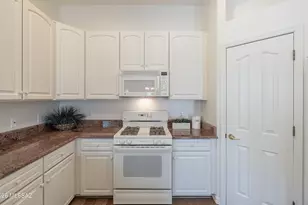 13575 N Holly Grape Dr, Marana, AZ 85658 - Photo 13