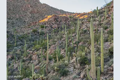 3700 W Conrads Way #49, Marana, AZ 85658 - Photo 5