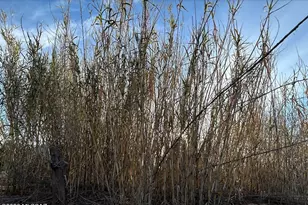 3644 W Vista Del Viejo, Bisbee, AZ 85603 - Photo 31